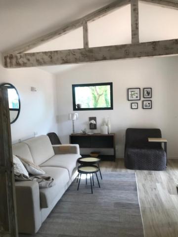 La Brindille Petit Mas Provencal Meuble De Tourisme 3 Etoiles 2-3 Personnes 1 Piece 30 M2 Tout Confort Lisiere Foret Jardin Jacuzzi Piscine Saint-Paul-en-Foret Bagian luar foto