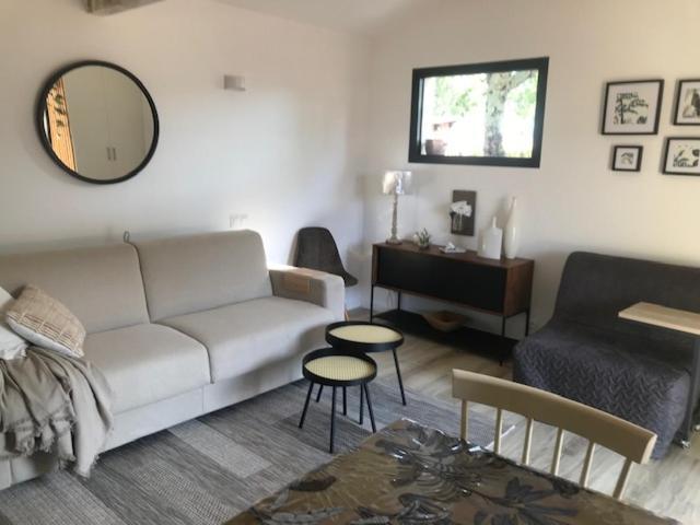 La Brindille Petit Mas Provencal Meuble De Tourisme 3 Etoiles 2-3 Personnes 1 Piece 30 M2 Tout Confort Lisiere Foret Jardin Jacuzzi Piscine Saint-Paul-en-Foret Bagian luar foto