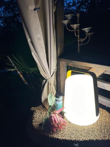 La Brindille Petit Mas Provencal Meuble De Tourisme 3 Etoiles 2-3 Personnes 1 Piece 30 M2 Tout Confort Lisiere Foret Jardin Jacuzzi Piscine Saint-Paul-en-Foret Bagian luar foto